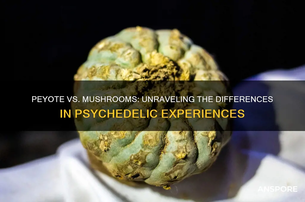 is peyote the same as mushrooms