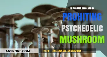 Pharma's Role in Blocking Psychedelic Mushrooms: Conspiracy or Reality?