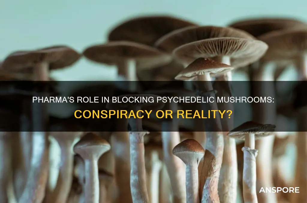 is pharma involved in prohiting psychedelic mushrooms