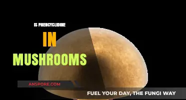 Psychedelic Mushrooms and Phencyclidine: What's the Link?