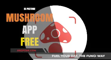Mushroom Identification: Is Picture Mushroom App Free?