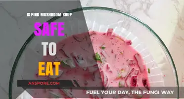 Is Pink Mushroom Soup Safe? A Culinary and Health Guide