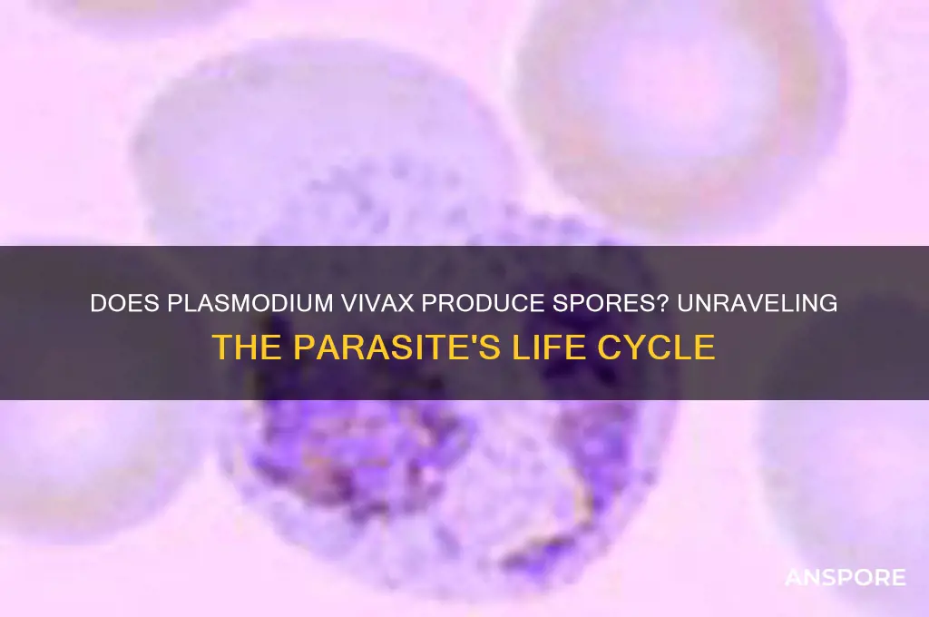 is plasmodium vivax have spores