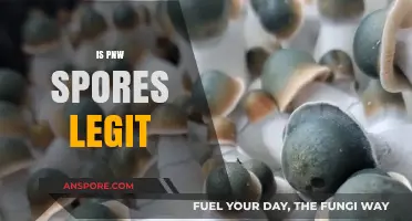 Is PNW Spores Legit? A Comprehensive Review and Analysis