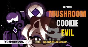 Poison Mushroom Cookie: Evil Treat or Misunderstood Fungal Delight?