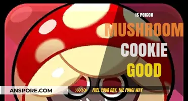 Is Poison Mushroom Cookie Safe or Delicious? A Tasty Debate