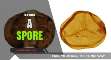 Pollen vs. Spores: Understanding the Difference in Plant Reproduction