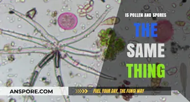 Pollen vs. Spores: Understanding the Differences and Similarities