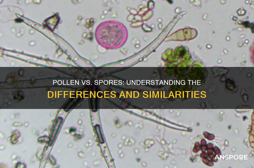 is pollen and spores the same thing