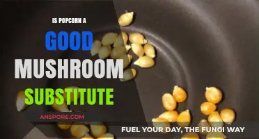 Popcorn as a Mushroom Substitute: A Tasty Alternative?
