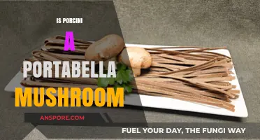 Porcini and Portabella Mushrooms: What's the Difference?