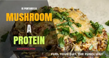 Portabella Mushrooms: Are They a Good Source of Protein?