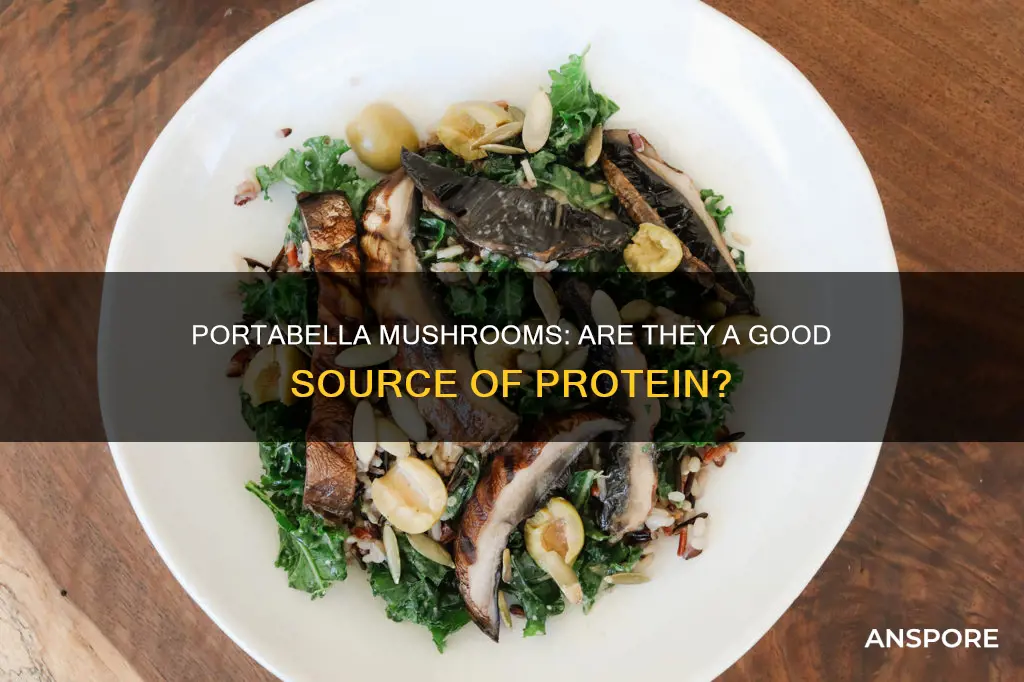 is portabella mushroom a protein