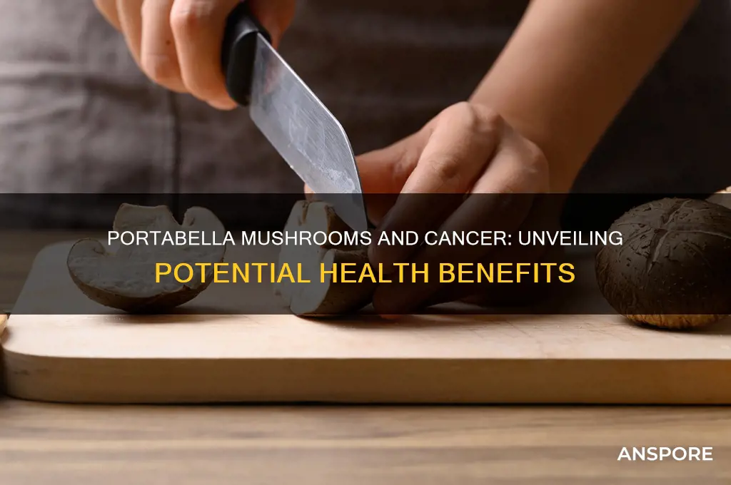 is portabella mushroom good for cancer