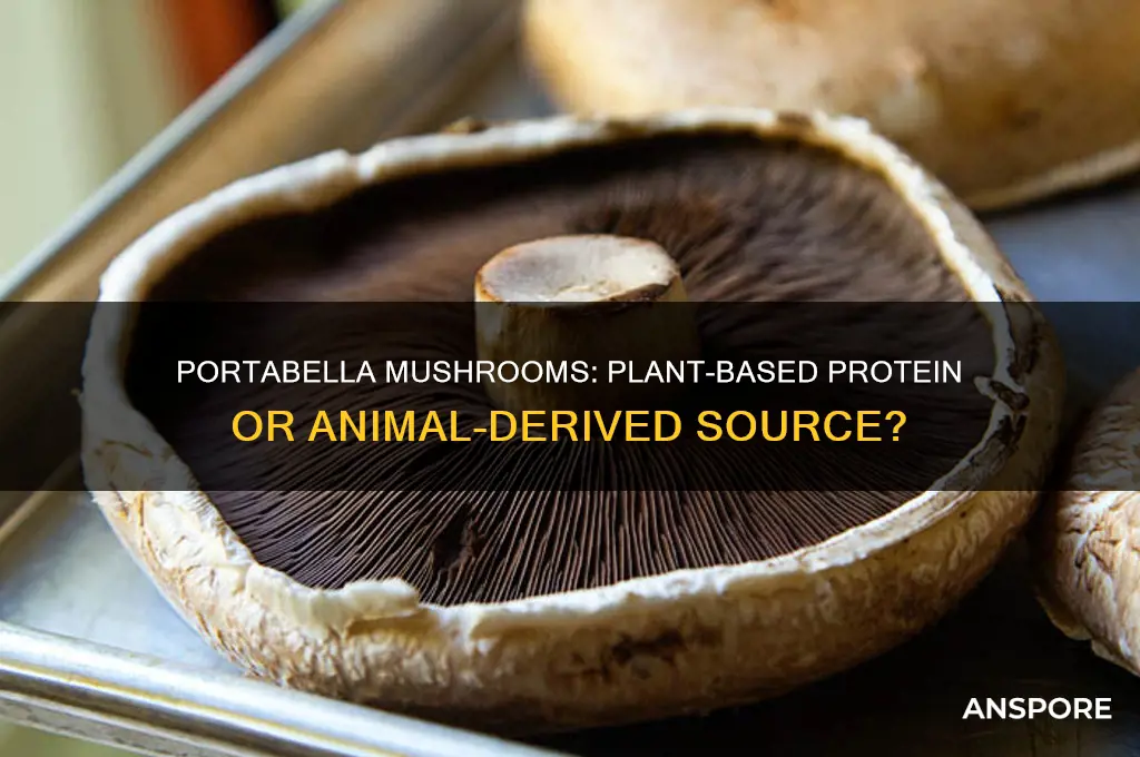 is portabella mushroom plant protein or animal protein