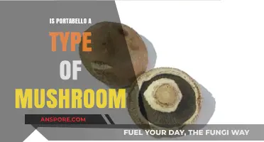 Portobello Mushrooms: Unveiling the Truth About This Popular Fungus