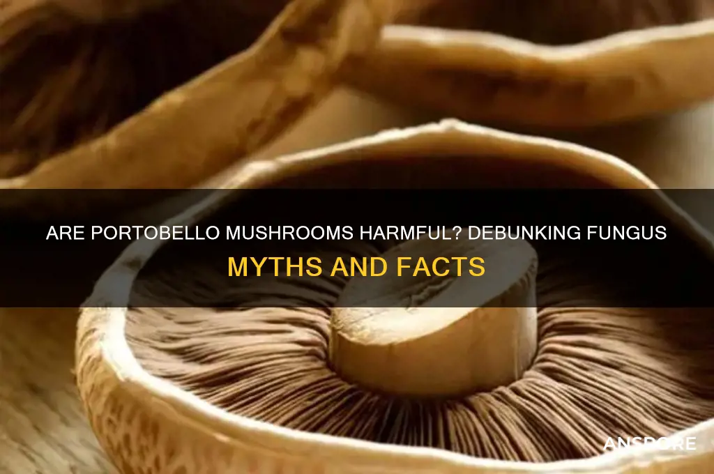 is portabello mushroom fungus bad