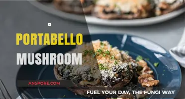 Portabello Mushrooms: Are They Worth the Hype?