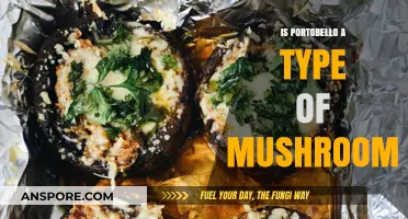 Is Portobello a Mushroom? Unveiling the Truth About This Fungus