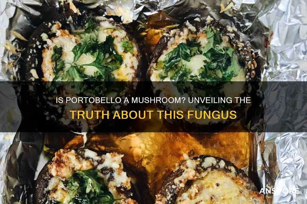 is portobello a type of mushroom