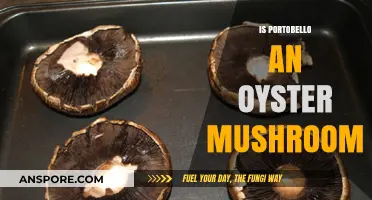 Portobello vs. Oyster Mushrooms: Unraveling the Fungal Family Mystery