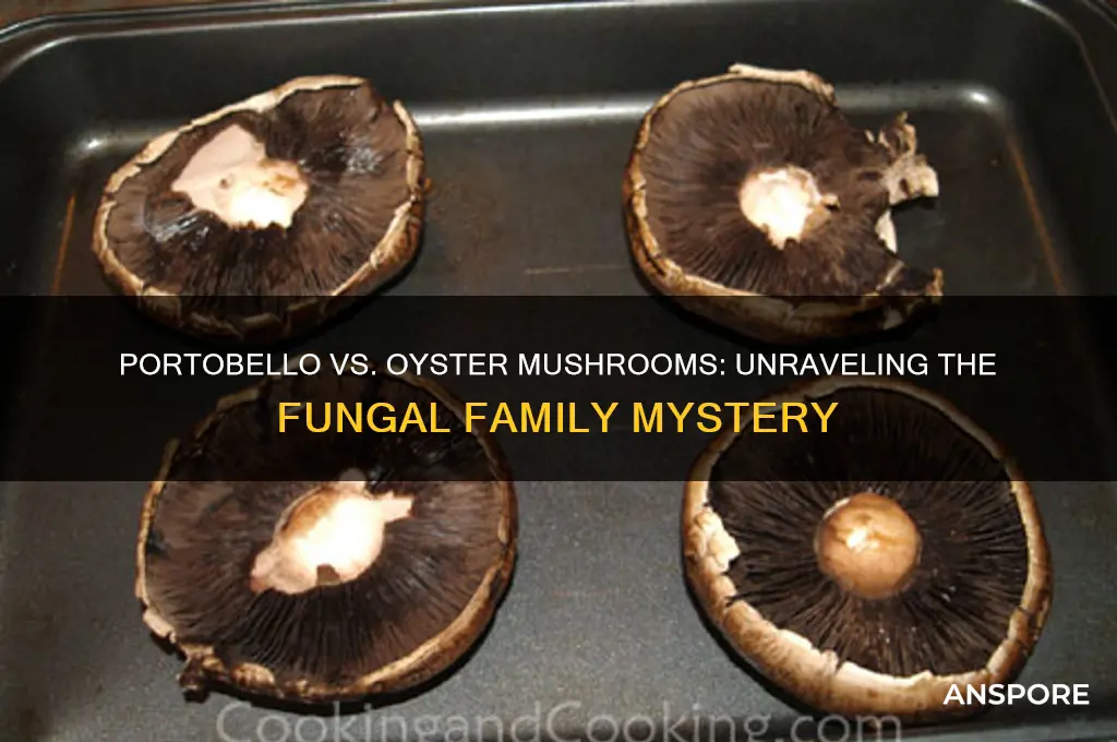 is portobello an oyster mushroom