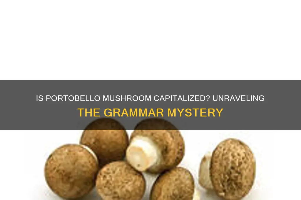 is portobello mushroom capitalized