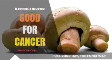 Portobello Mushrooms: Potential Cancer-Fighting Benefits and Nutritional Insights