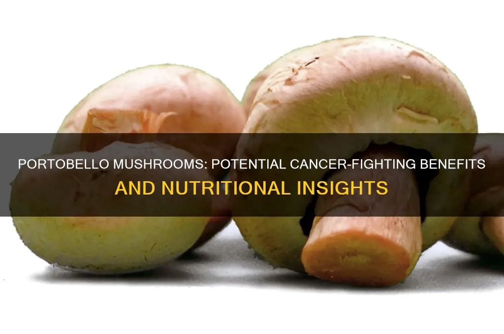 is portobello mushroom good for cancer