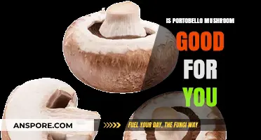 Portobello Mushrooms: Nutritional Benefits and Health Advantages Explained