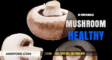 Portobello Mushrooms: Unveiling Their Nutritional Benefits and Health Impact