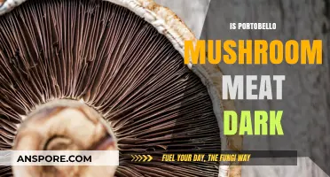 Is Portobello Mushroom Meat Dark? Exploring Its Color and Culinary Uses