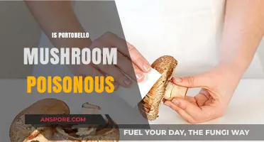 Are Portobello Mushrooms Poisonous? Debunking Myths and Facts