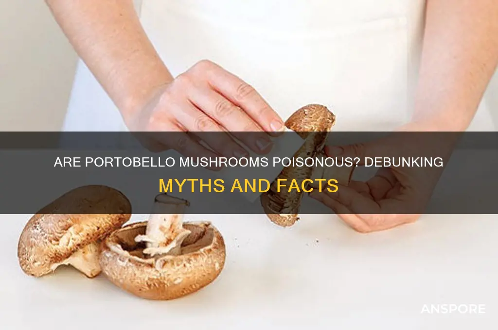is portobello mushroom poisonous