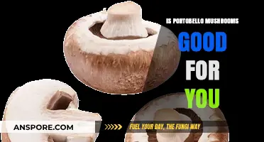 Portobello Mushrooms: Nutritional Benefits and Health Advantages Explained