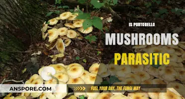 Are Portobello Mushrooms Parasitic? Unveiling Their Ecological Role and Nature
