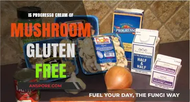 Is Progresso Cream of Mushroom Soup Gluten-Free? Find Out Here
