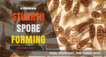 Providencia Stuartii: Unveiling Its Spore-Forming Capabilities and Implications