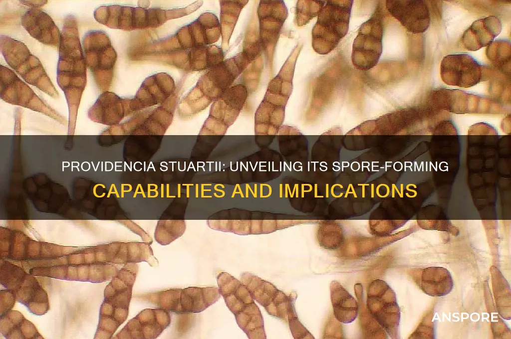 is providencia stuartii spore forming