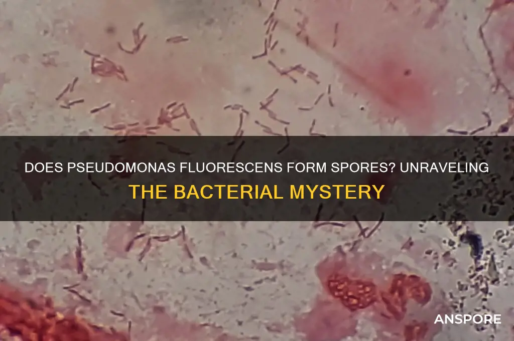 is pseudomonas fluorescen spore forming