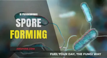 Is Pseudomonas Spore-Forming? Unraveling the Truth About This Bacterium