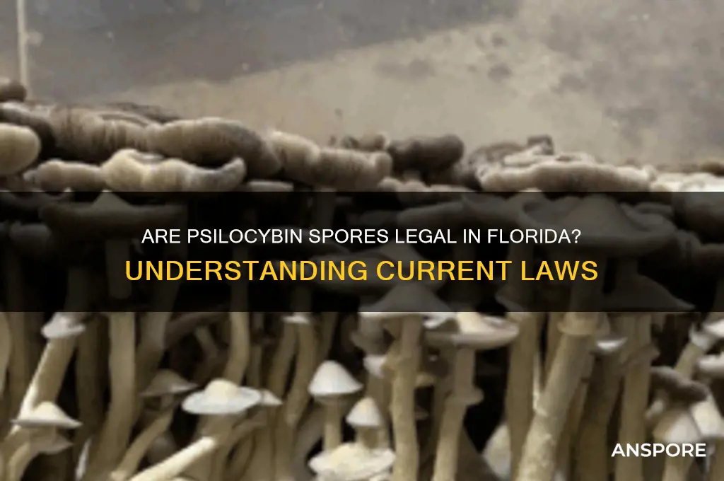 is psilocibin spores illegal in fl