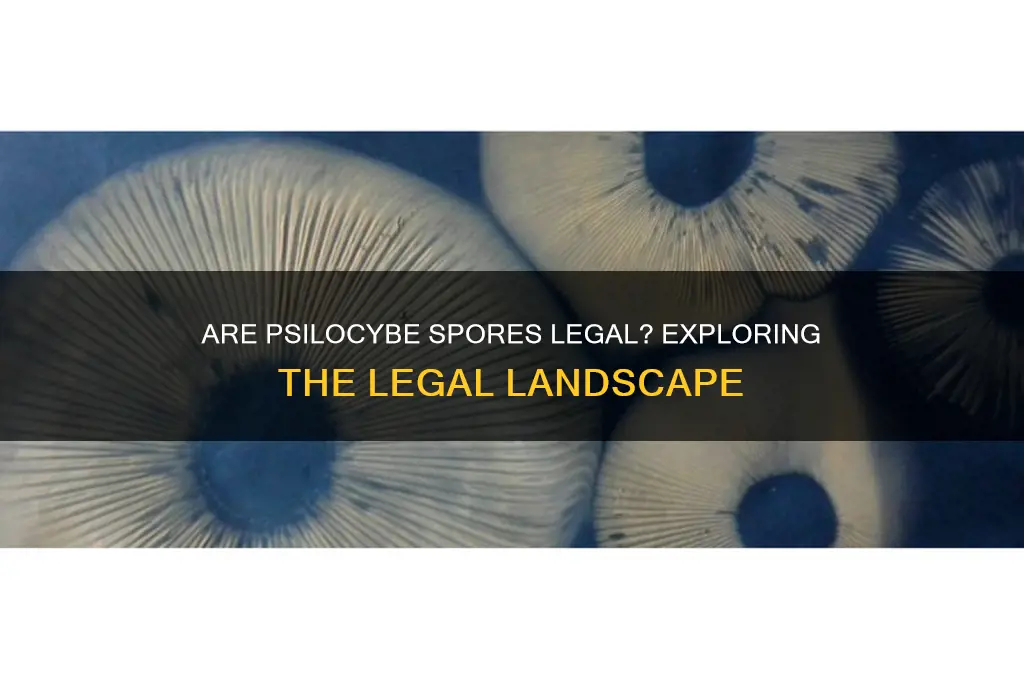 is psilocybe legal spores