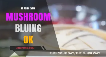 Psilocybin Mushroom Bluing: Good or Bad?