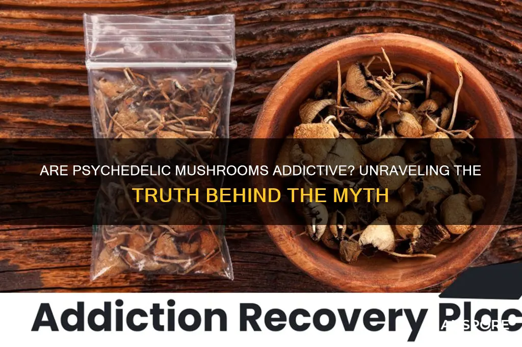 is psychedelic mushrooms an addictive drug