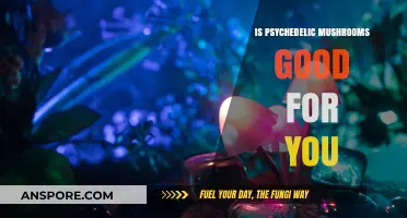 Exploring the Potential Health Benefits of Psychedelic Mushrooms