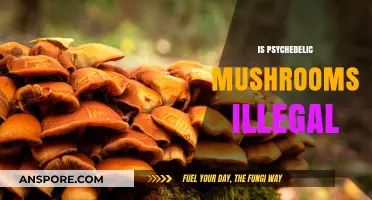 Psychedelic Mushrooms: Legal or Not?