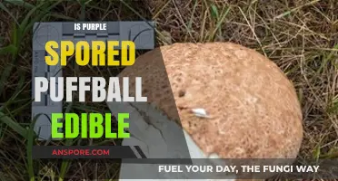 Is Purple Spored Puffball Edible? A Forager's Guide to Safety