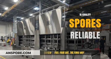 Is Quality Spores Reliable? A Comprehensive Review and Analysis