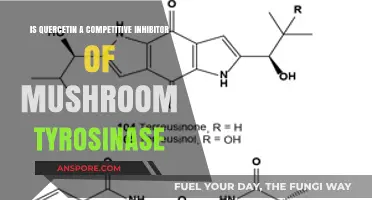 Quercetin's Role as a Potential Mushroom Tyrosinase Inhibitor